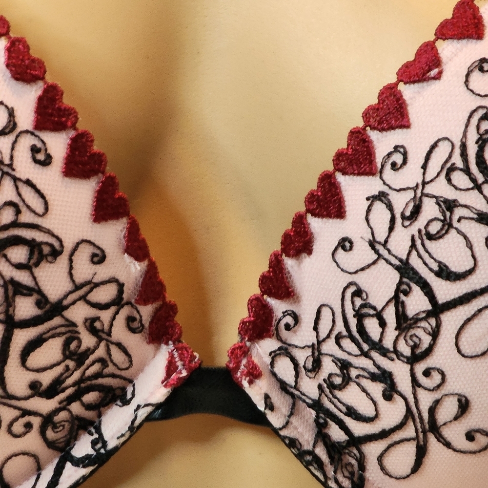 Victoria's Secret Love Letter Embroidery Bra - Picture 4 of 9